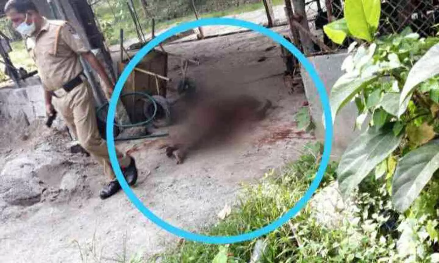 കാക്ക അനീഷ് ഗുണ്ടാ ആക്ട് പ്രകാരം മൂന്നുതവണ അകത്ത്; വിവിധ സ്റ്റേഷനുകളിൽ 28 കേസുകൾ!