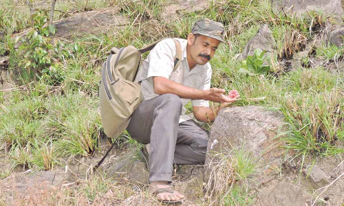 സ​ലിം പി​ച്ച​ന് നാ​ട്ടുശാ​സ്ത്ര​ജ്ഞ പു​ര​സ്കാ​രം