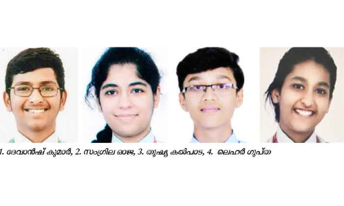 ന്യൂ മില്ലേനിയം സ്​കൂളിന്​ നൂറുശതമാനം വിജയം