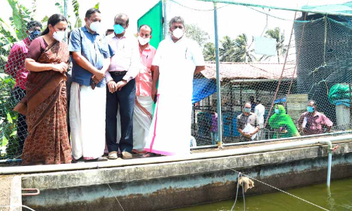 ഉള്‍നാടന്‍ മത്സ്യമേഖലയില്‍ ഉൽപാദനം വര്‍ധിപ്പിക്കും –മന്ത്രി സജി ചെറിയാന്‍