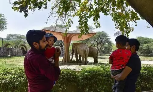 delhi zoo