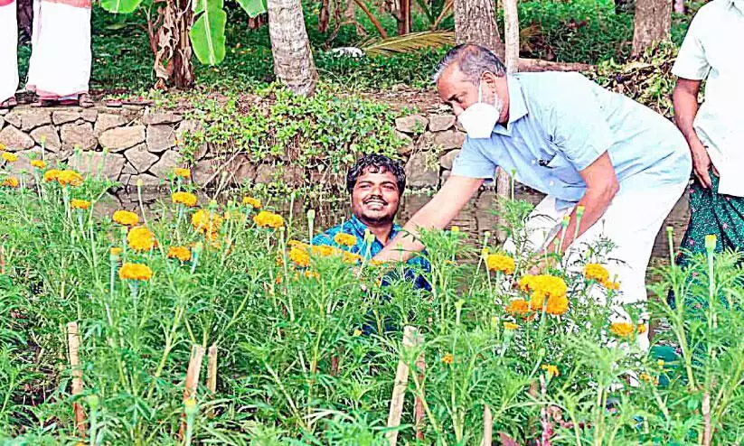 ഒഴുകുന്ന പൂന്തോട്ടത്തിൽ പൂക്കൾ വിരിഞ്ഞു; ഇനി കാഴ്ചവസന്തം ഒഴുകുന്ന പൂന്തോട്ടത്തിൽ പൂക്കൾ വിരിഞ്ഞു; ഇനി കാഴ്ചവസന്തം