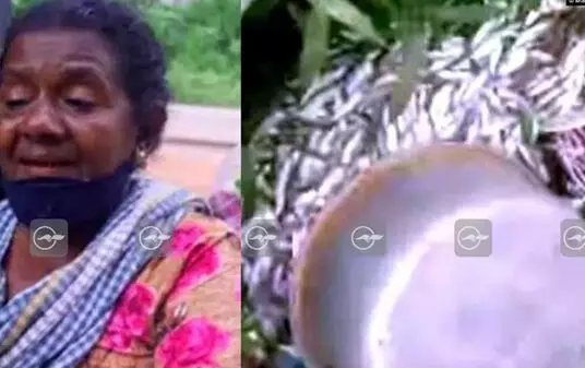 മുഖ്യമന്ത്രി പറയുന്നത്​ പൊലീസ് പറഞ്ഞ കള്ളം; നിരപരാധിയായ എന്‍റെ വാക്ക്​ കേൾക്കുന്നില്ല; മീൻകുട്ട പൊലീസ്​ തട്ടിത്തെറിപ്പി​ച്ചില്ലെന്ന വാദത്തിനെതിരെ മത്സ്യത്തൊഴിലാളി സ്​ത്രീ