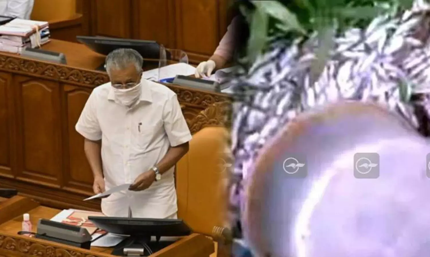 വിൽപനക്ക് വെച്ച മത്സ്യം പൊലീസ് വലിച്ചെറിഞ്ഞിട്ടില്ല -മുഖ്യമന്ത്രി