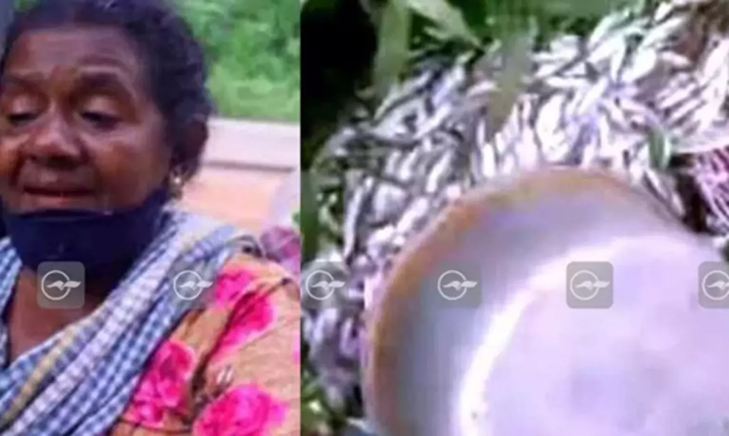 മുഖ്യമന്ത്രി പറയുന്നത്​ പൊലീസ് പറഞ്ഞ കള്ളം; നിരപരാധിയായ എന്‍റെ വാക്ക്​ കേൾക്കുന്നില്ല; മീൻകുട്ട പൊലീസ്​ തട്ടിത്തെറിപ്പി​ച്ചില്ലെന്ന വാദത്തിനെതിരെ മത്സ്യത്തൊഴിലാളി സ്​ത്രീ