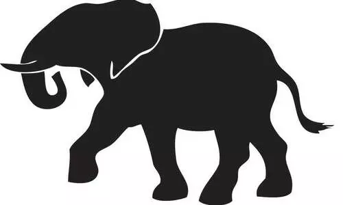 പാലപ്പിള്ളി എലിക്കോട് വീണ്ടും കാട്ടാനയിറങ്ങി പാലപ്പിള്ളി എലിക്കോട് വീണ്ടും കാട്ടാനയിറങ്ങി