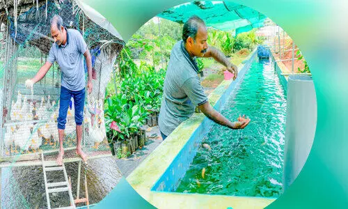 ക​ണ്ട​റി​യാം വി​ജു​വി​ന്‍റെ വേ​റി​ട്ട കൃ​ഷി