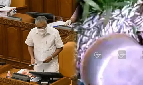 വിൽപനക്ക് വെച്ച മത്സ്യം പൊലീസ് വലിച്ചെറിഞ്ഞിട്ടില്ല -മുഖ്യമന്ത്രി