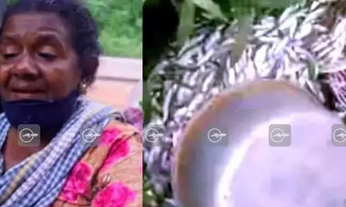 മുഖ്യമന്ത്രി പറയുന്നത്​ പൊലീസ് പറഞ്ഞ കള്ളം; നിരപരാധിയായ എന്‍റെ വാക്ക്​ കേൾക്കുന്നില്ല; മീൻകുട്ട പൊലീസ്​ തട്ടിത്തെറിപ്പി​ച്ചില്ലെന്ന വാദത്തിനെതിരെ മത്സ്യത്തൊഴിലാളി സ്​ത്രീ