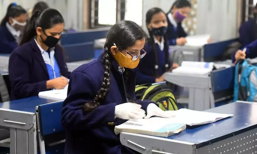 students studying students studying