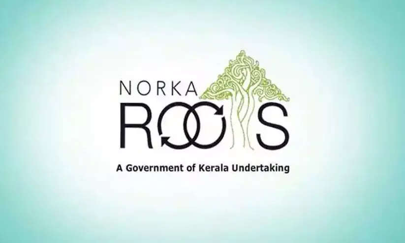 norka roots