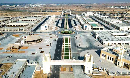 പെരുന്നാൾ: റെക്കോഡിട്ട് ഷാർജയിലെ പുതിയ കാലിച്ചന്ത