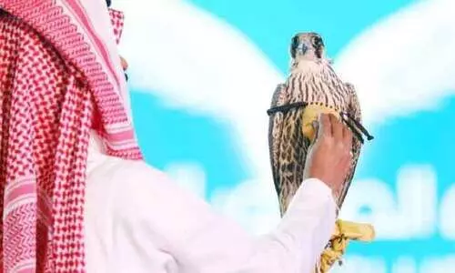 റി​യാ​ദി​ൽ ഫാ​ൽ​ക​ൻ മേ​ള ശ​നി​യാ​ഴ്​​ച മു​ത​ൽ