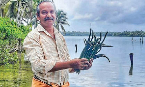 1000 കണ്ടൽചെടികൾ നട്ട് മത്സ്യത്തൊഴിലാളി