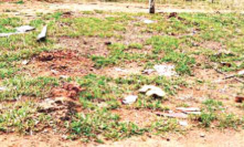 യ​ഹൂ​ദ സെ​മി​ത്തേ​രി​യി​ൽ ക​ല്ല​റ​യു​ടേ​തെ​ന്ന് കരുതുന്ന അ​വ​ശി​ഷ്​​ട​ങ്ങ​ൾ ക​ണ്ടെ​ത്തി