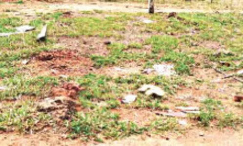 യ​ഹൂ​ദ സെ​മി​ത്തേ​രി​യി​ൽ ക​ല്ല​റ​യു​ടേ​തെ​ന്ന് കരുതുന്ന അ​വ​ശി​ഷ്​​ട​ങ്ങ​ൾ ക​ണ്ടെ​ത്തി