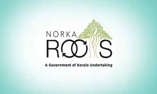 norka roots