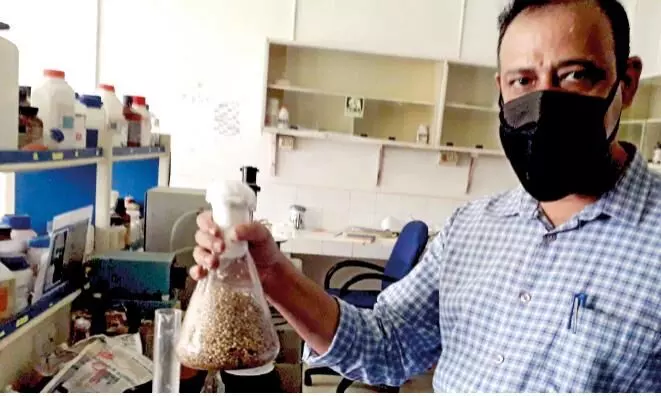 കൂണ്‍ വളര്‍ത്തലിനും വിത്ത് ഉൽപാദനത്തിനും പദ്ധതിയുമായി ബയോടെക്‌നോളജി വകുപ്പ്