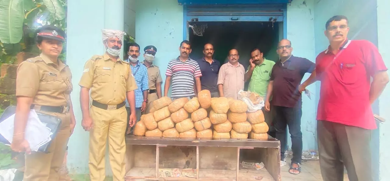 കോട്ടക്കലിൽ അടഞ്ഞ് കിടന്ന കടമുറിക്കുള്ളിൽ നിന്ന് അരക്കോടിയുടെ കഞ്ചാവ് പിടികൂടി കോട്ടക്കലിൽ അടഞ്ഞ് കിടന്ന കടമുറിക്കുള്ളിൽ നിന്ന് അരക്കോടിയുടെ കഞ്ചാവ് പിടികൂടി