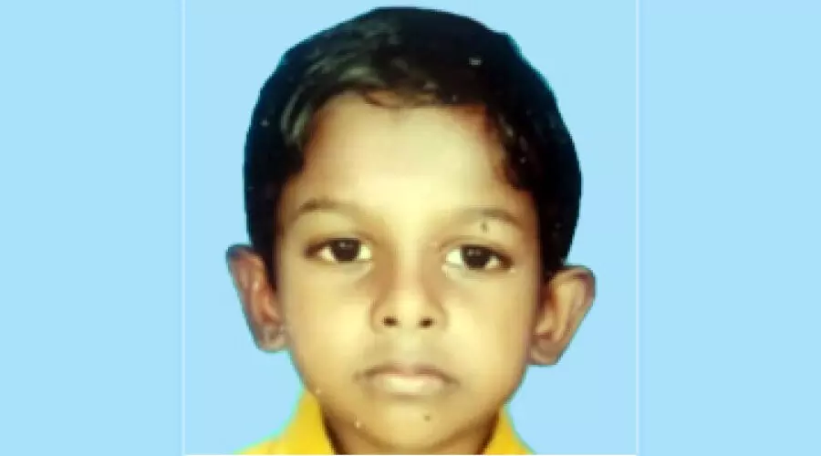 അഞ്ചുവയസ്സുകാരൻ കടന്നൽ കുത്തേറ്റ് മരിച്ചു അഞ്ചുവയസ്സുകാരൻ കടന്നൽ കുത്തേറ്റ് മരിച്ചു