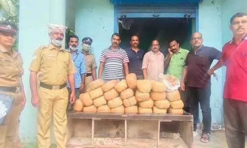 കോട്ടക്കലിൽ അടഞ്ഞ് കിടന്ന കടമുറിക്കുള്ളിൽ നിന്ന്​ അരക്കോടിയുടെ കഞ്ചാവ് പിടികൂടി