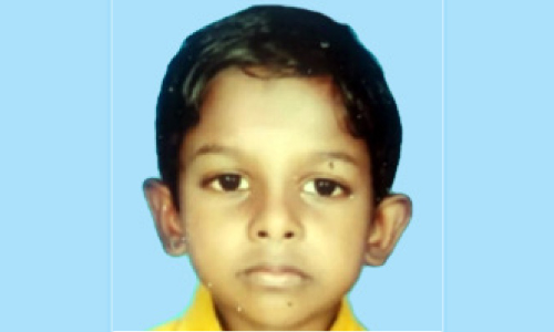 അഞ്ചുവയസ്സുകാരൻ കടന്നൽ കുത്തേറ്റ് മരിച്ചു