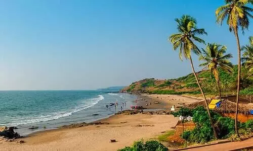 goa
