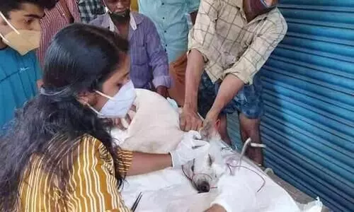 മുള്ളൻ പന്നിയുടെ ആക്രമണത്തിൽ നായക്ക്​ പരിക്ക്