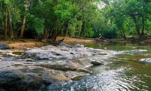 കു​റു​വ ദ്വീ​പിലേക്ക്  സ​ന്ദ​ർ​ശ​ക​രു​ടെ ഒ​ഴു​ക്ക്