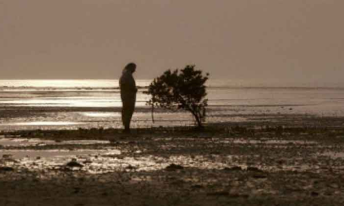 ഡി.എഫ്​.​െഎയുടെ നിർമാണ സഹായമുള്ള ചിത്രങ്ങൾ ലൊകാർനോ മേളയിലേക്ക്