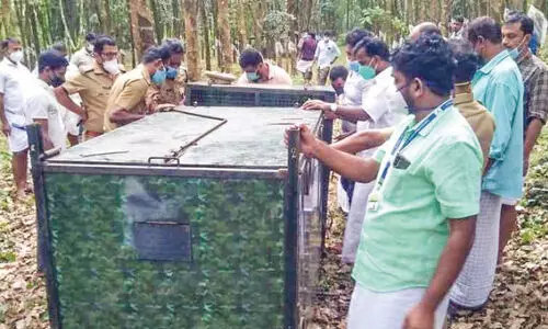 വ​ന്യ​ജീ​വി സാ​ന്നി​ധ്യ​മുള്ള ഉ​പ്പു​കു​ള​ത്ത് കെ​ണി​ക്കൂ​ട് സ്ഥാ​പി​ച്ചു