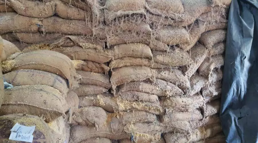 സപ്ലൈകോ ഗോഡൗണിൽ പുഴുവരിച്ച അരി പുത്തൻ അരിയാക്കി; നാട്ടുകാർ പിടിച്ചു