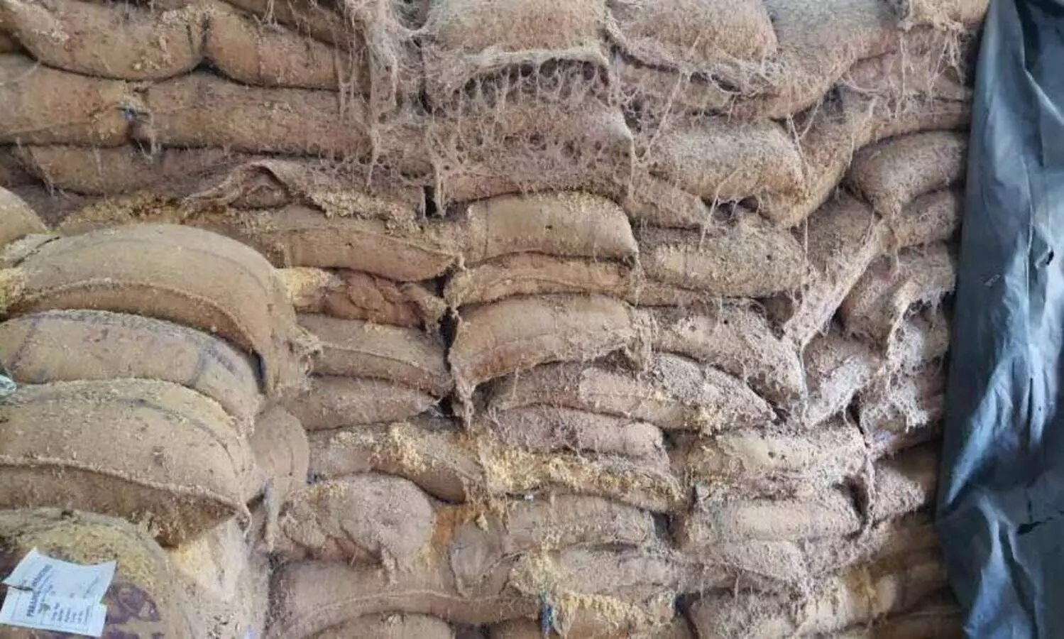 സപ്ലൈകോ ഗോഡൗണിൽ പുഴുവരിച്ച അരി പുത്തൻ അരിയാക്കി; നാട്ടുകാർ പിടിച്ചു