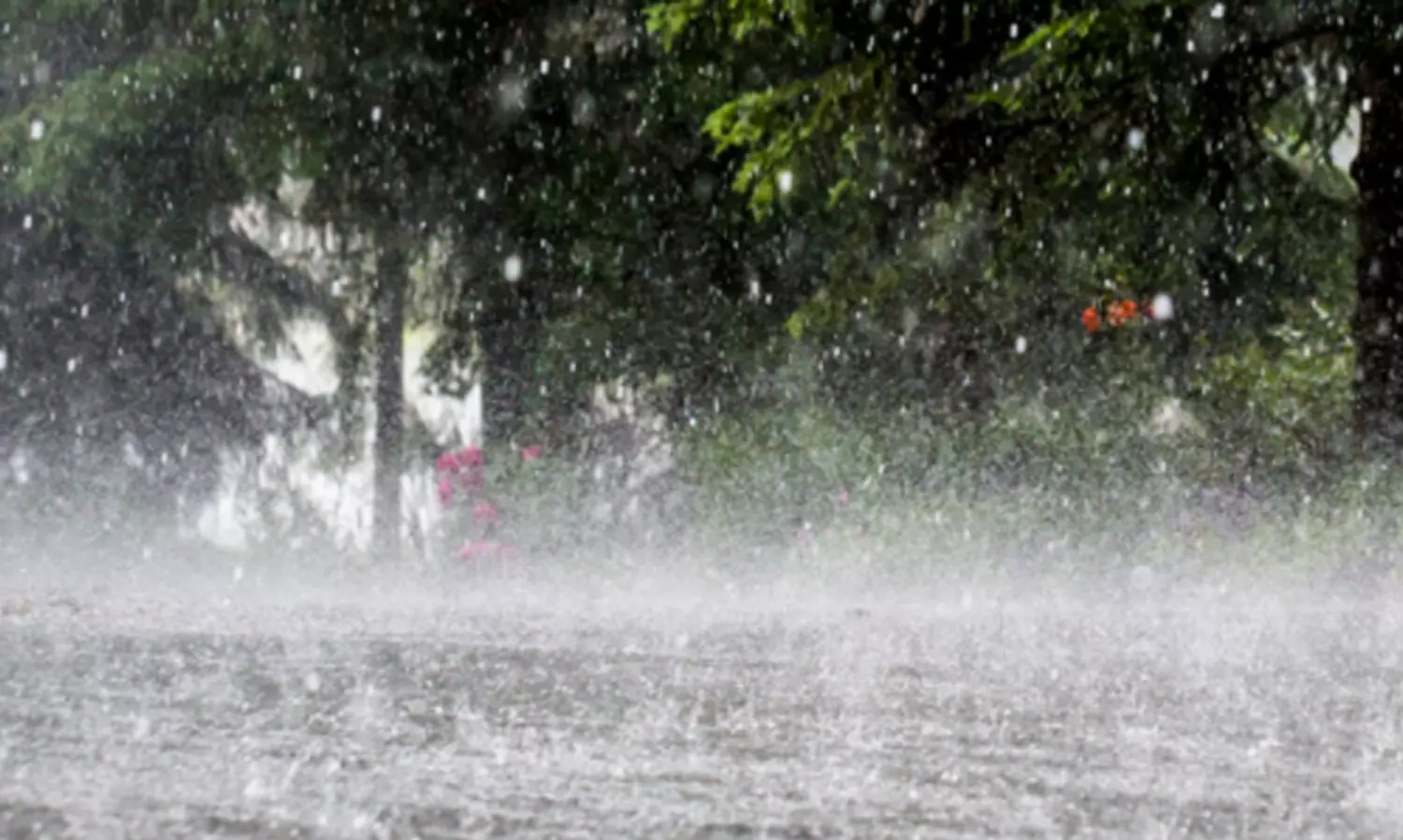 അതിശക്തമായ മഴ; സംസ്ഥാനത്തെ വിവിധ ജില്ലകളിൽ ഓറഞ്ച് അലേർട്ട് പ്രഖ്യാപിച്ചു