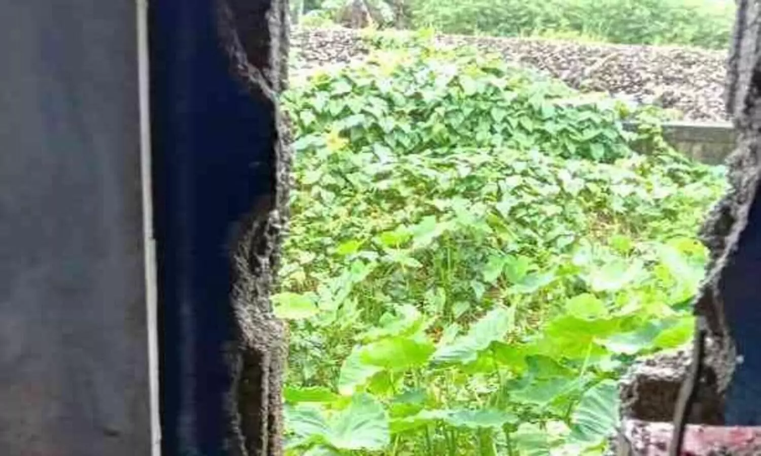 ദേശീയപാതയോരത്തെ കടയിൽ വീണ്ടും കവർച്ച ; നാല് ലക്ഷം രൂപയുടെ ടയറുകൾ കവർന്നു