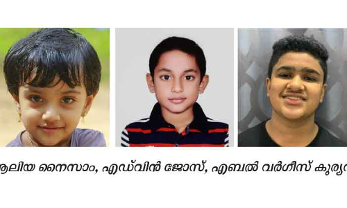 വർണം ചിത്രരചന മത്സര വിജയികളെ പ്രഖ്യാപിച്ചു