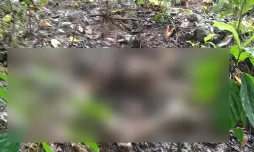 കശുമാവിൻ തോട്ടത്തിലെ അസ്ഥികൂടം ഡി.എൻ.എ പരിശോധനക്കയക്കും