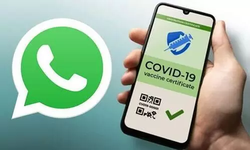covid certificate whatsapp