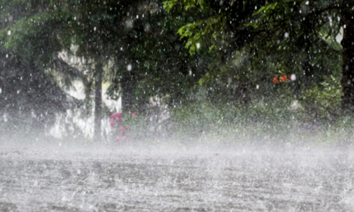 അതിശക്തമായ മഴ; സംസ്ഥാനത്തെ വിവിധ ജില്ലകളിൽ ഓറഞ്ച് അലേർട്ട് പ്രഖ്യാപിച്ചു
