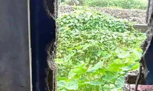 ദേശീയപാതയോരത്തെ കടയിൽ വീണ്ടും കവർച്ച ; നാല് ലക്ഷം രൂപയുടെ ടയറുകൾ കവർന്നു