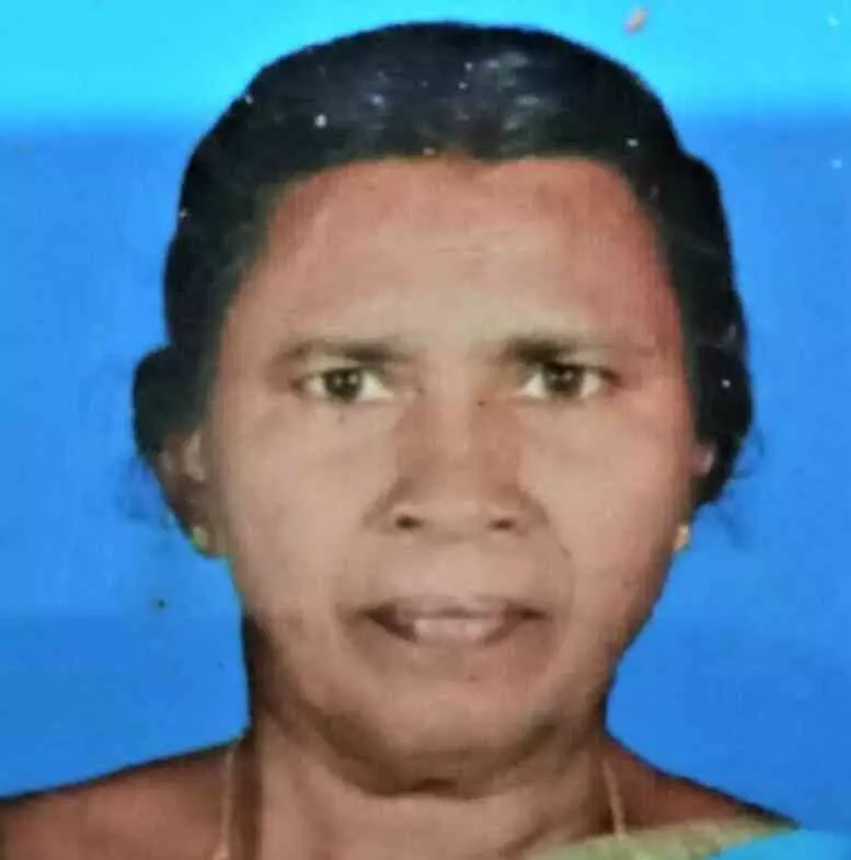 വീട്ടമ്മ ദേശീയപാതയിൽ ബൈക്കിടിച്ച് മരിച്ചു