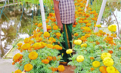 പാലത്തിൽ വസന്തം വിരിയിച്ച് ഉദയകുമാർ