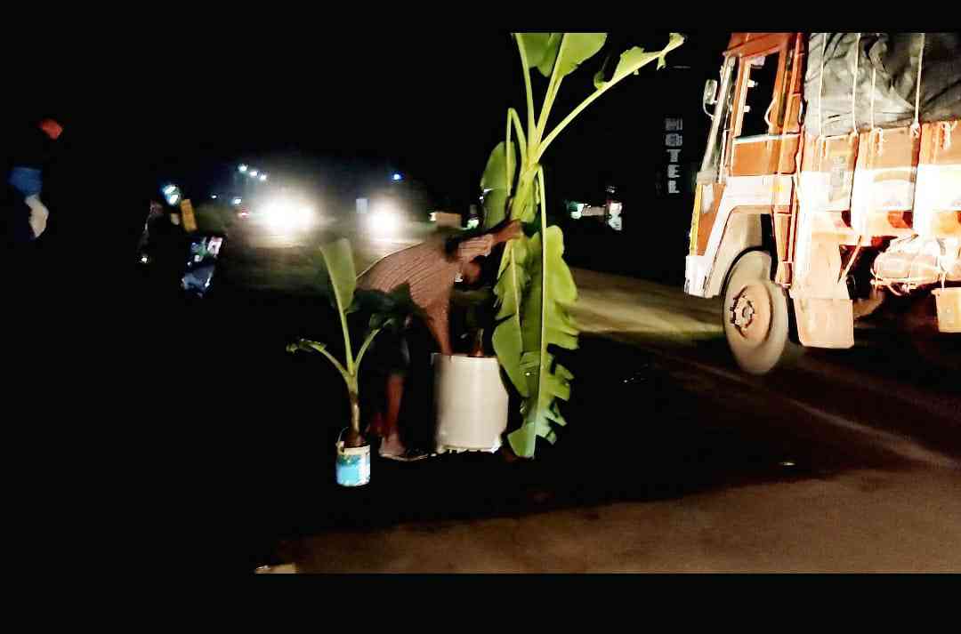 കായംകുളത്ത് ദേശീയപാതയിൽ മരണകുഴികൾ പെരുകുന്നു; സ്പീക്കറുടെ വാഹനമടക്കം തകരാറിലായി കായംകുളത്ത് ദേശീയപാതയിൽ മരണകുഴികൾ പെരുകുന്നു; സ്പീക്കറുടെ വാഹനമടക്കം തകരാറിലായി