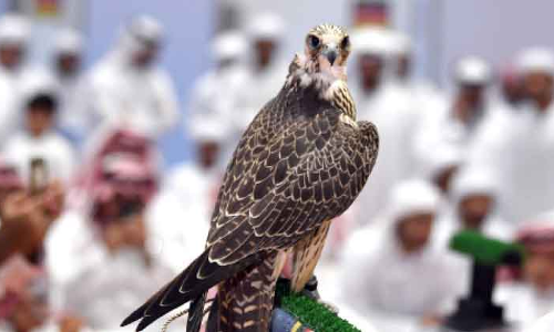 ഫാൽക്കൻറിയുടെ ഭാവി ശാസ്ത്രസമ്മേളനം