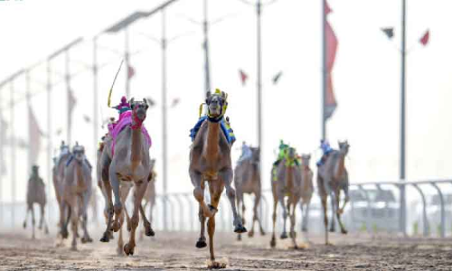 മൂ​ന്നാ​മ​ത്​ ക്രൗ​ൺ പ്രി​ൻ​സ്​ ഒ​ട്ട​ക​മേ​ള​ക്ക്​ ഉ​ജ്ജ്വ​ല തു​ട​ക്കം