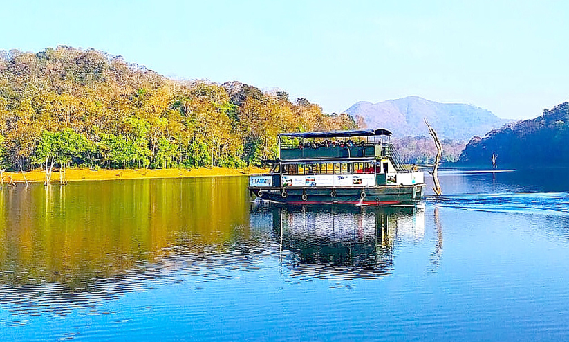 കാടിന്റെ കാഴ്ചകളിലേക്ക് വാതിൽ തുറന്ന് തേക്കടി കാടിന്റെ കാഴ്ചകളിലേക്ക് വാതിൽ തുറന്ന് തേക്കടി