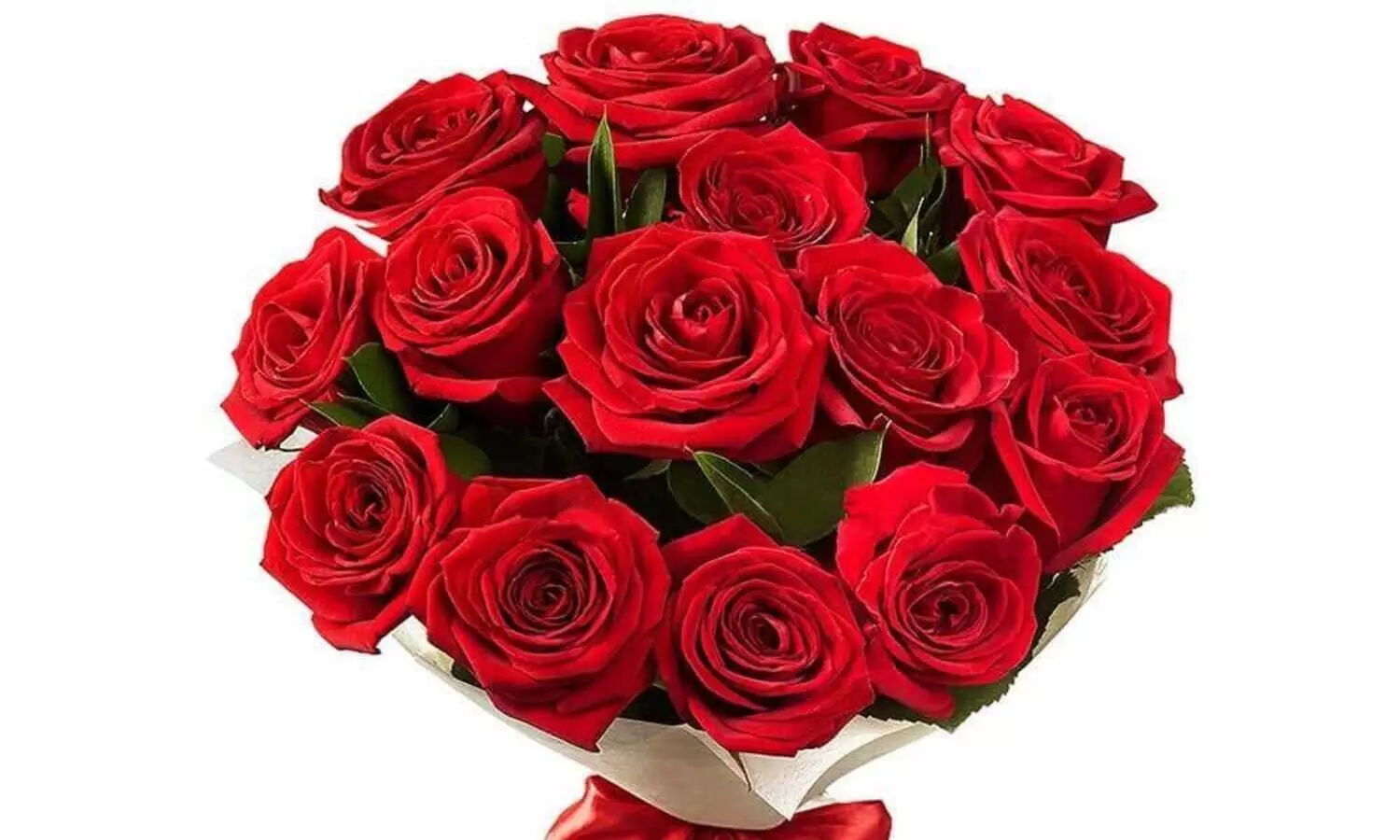 കർണാടകയിൽ സർക്കാർ പരിപാടികളിൽ പൂച്ചെണ്ടുകൾക്ക് വിലക്ക്; പകരം പുസ്തകങ്ങൾ