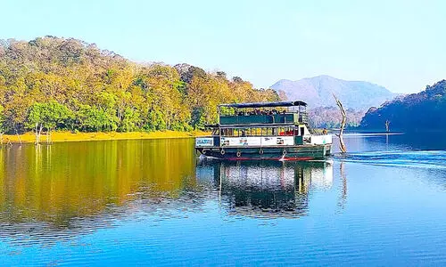 കാടി‍ന്‍റെ കാഴ്​ചകളിലേക്ക്​ വാതിൽ തുറന്ന് തേക്കടി