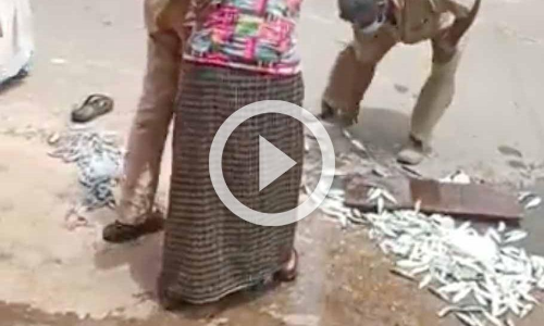 മത്സ്യത്തൊഴിലാളിയുടെ മീൻ വലിച്ചെറിഞ്ഞ് നഗരസഭാ ജീവനക്കാർ, അതിക്രമം