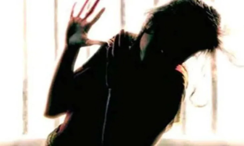 വീട്​ കയറി മോഷണം: തടയാൻ  ശ്രമിച്ച വിദ്യാർത്ഥിനിയെ നാടോടി സ്ത്രീ ആക്രമിച്ചു; അന്വേഷണം ഊർജിതമാക്കി പൊലീസ്